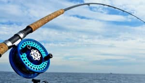 fishing pole and sky