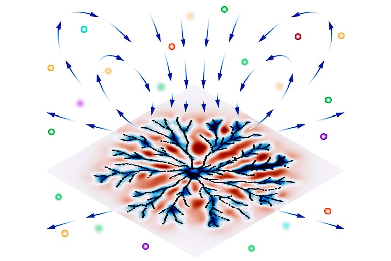 a bacterial colony arranged in a branching pattern shows how the bacteria can create a swirling current that pulls in nutrients