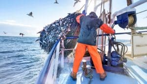 person on fishing boat