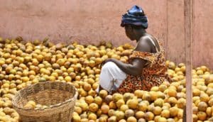 woman sits among oranges in Ghana