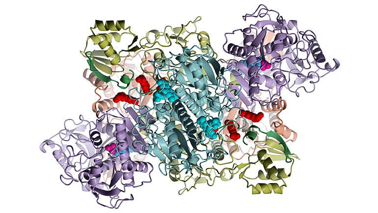 The 3D structure of McbBCD