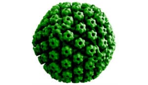 green virus (schizophrenia concept)