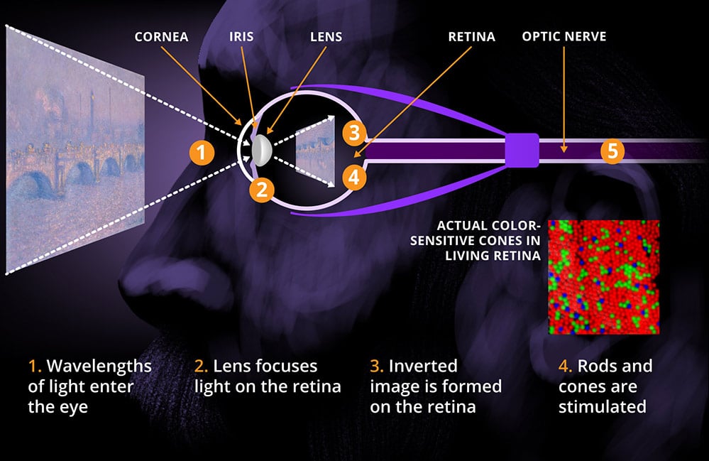 how we see color diagram 2