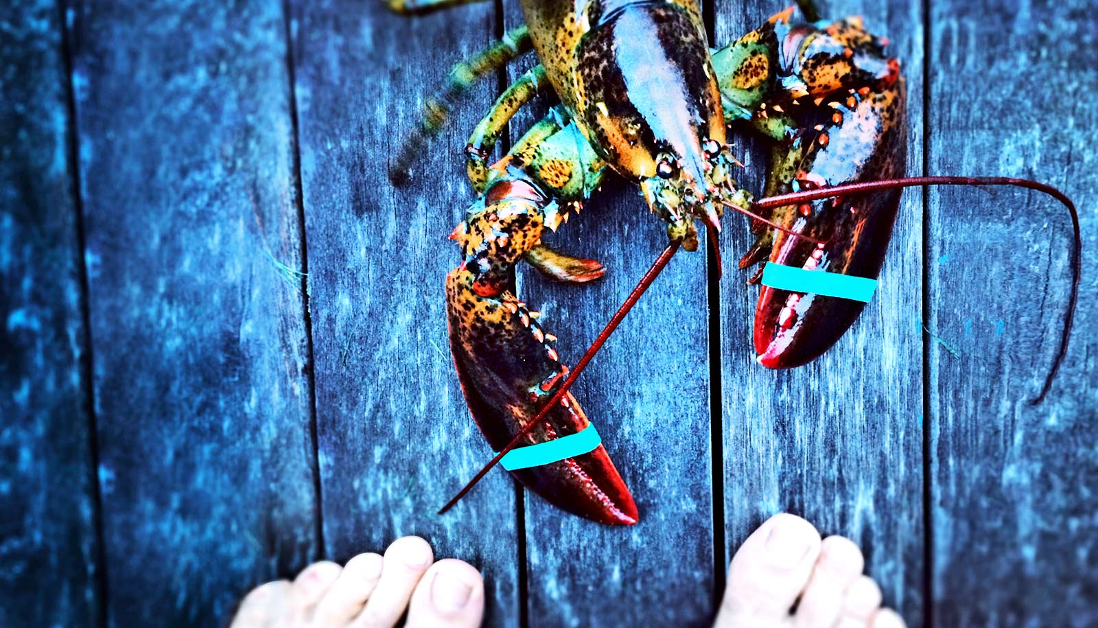 Shellfish tops list of U.S. adult food allergies Futurity