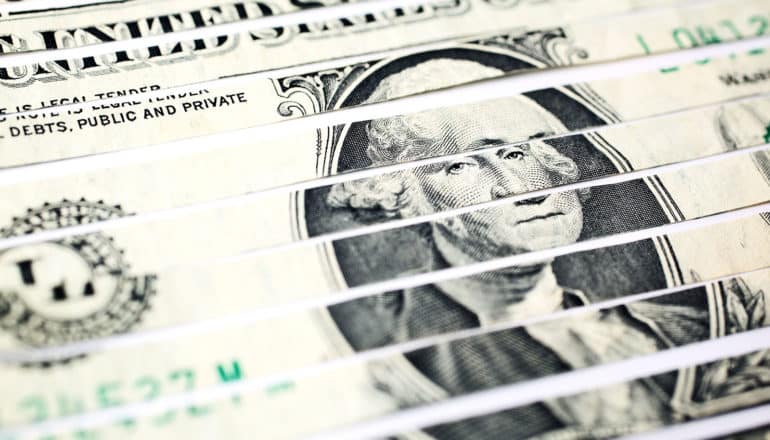 shredded dollar