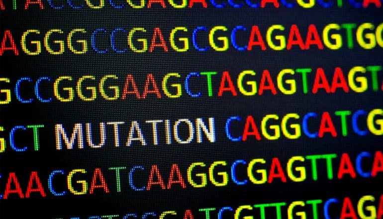 DNA damage