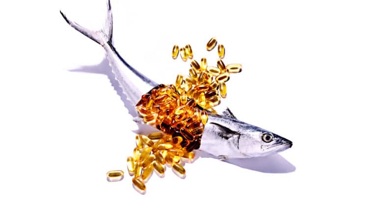 fish and fish oil (fatty acids concept)