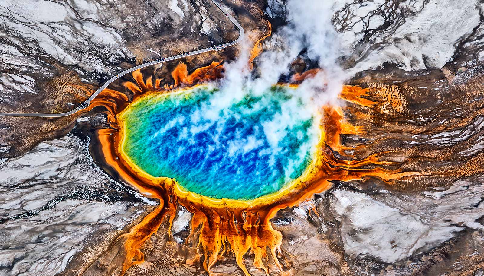 Virus that infects hot spring bacteria has tricks we could steal Futurity