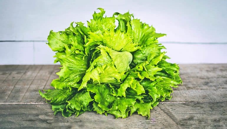 head of lettuce on concrete