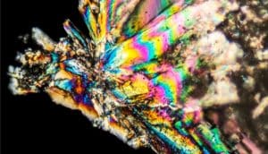 Microscopic loperamide crystals illuminated with polarized light