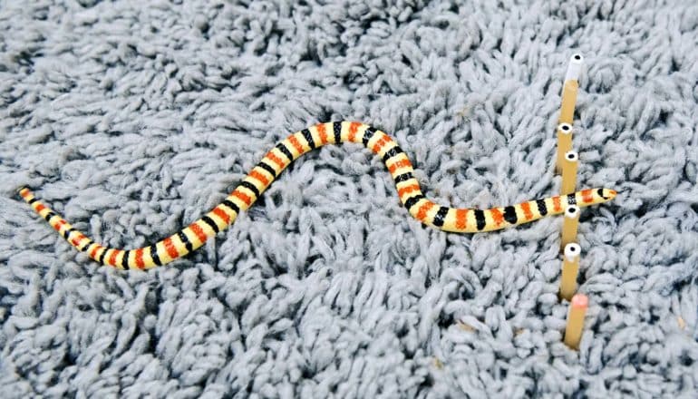 snake on carpet