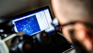 Joseph Massey looks at cells under a lab scope.