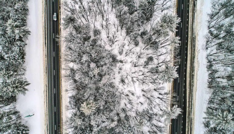 two roads and snowy trees from above