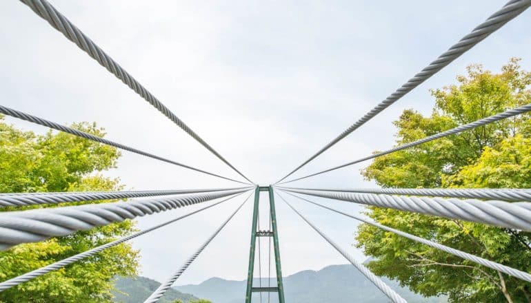 suspension bridge and trees