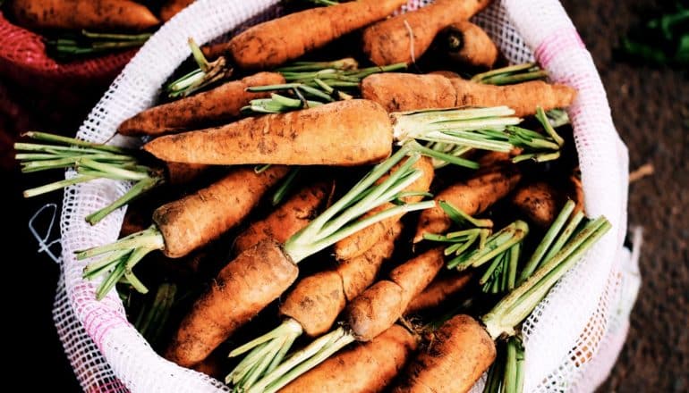 soil on carrots in a bag