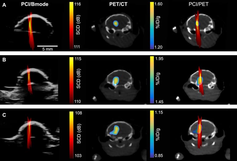 Cavitation images (left); PET images (middle); overlay of the two (right). (Credit: Hong Chen lab)