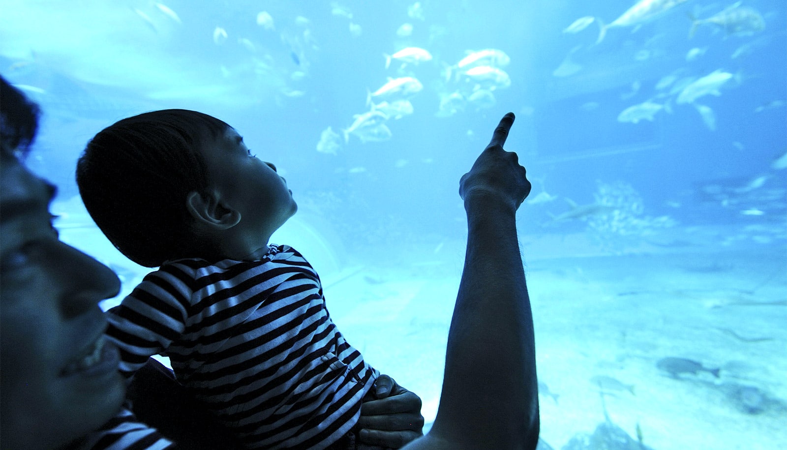 When science inspires awe, people get curious