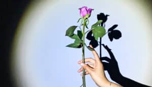 flower in hand in spotlight