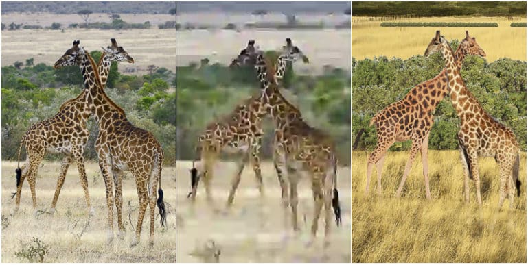 image of giraffes and two reconstructions