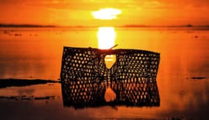 ocean sunset fishing net