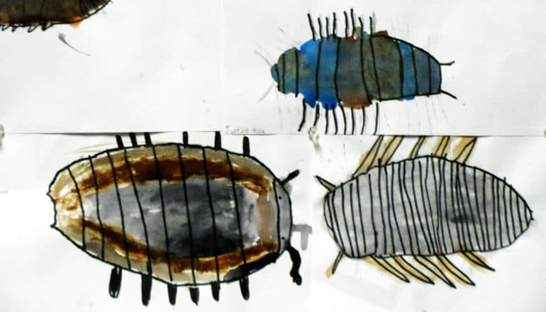 children's paintings of insects