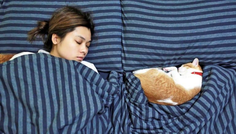 woman asleep in navy bed with cat