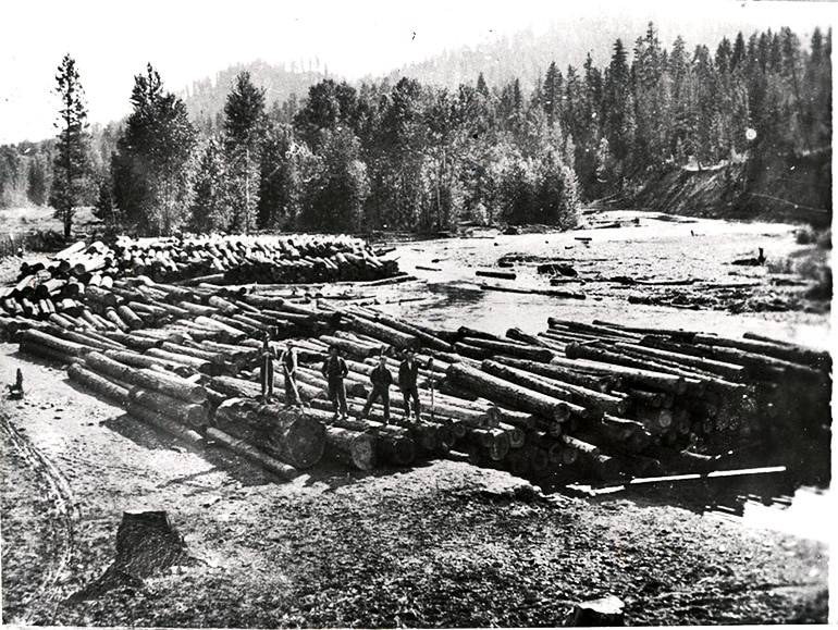 Teanaway river logging