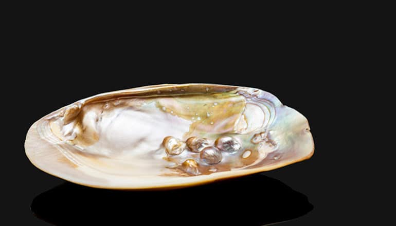 nacre - abalone shell on black