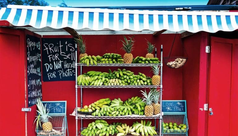 banana stand (ethylene gas concept)