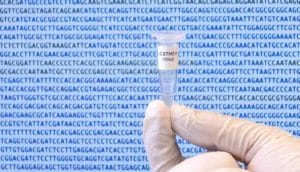 The Caulobacter ethensis-2.0 genome in a micro tube.