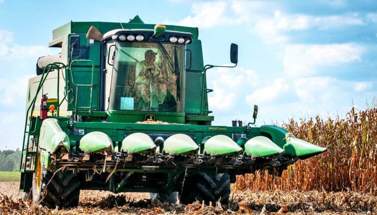 corn farmer harvest