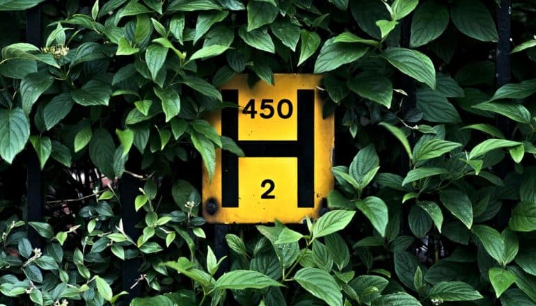 h sign under leaves (hydrogen fuel cell concept)
