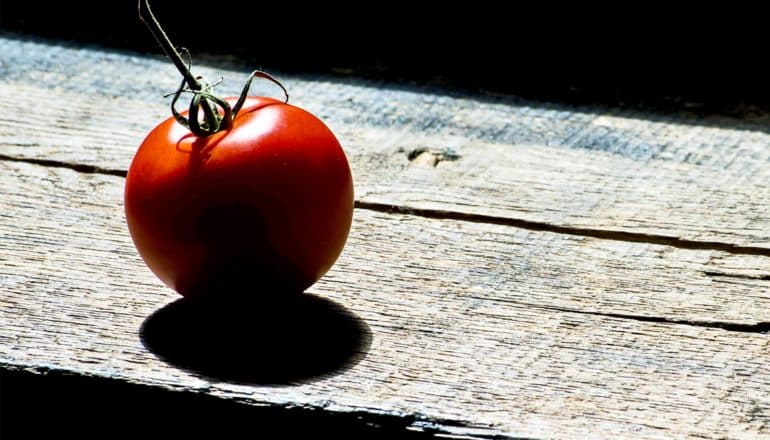 tomato shadow