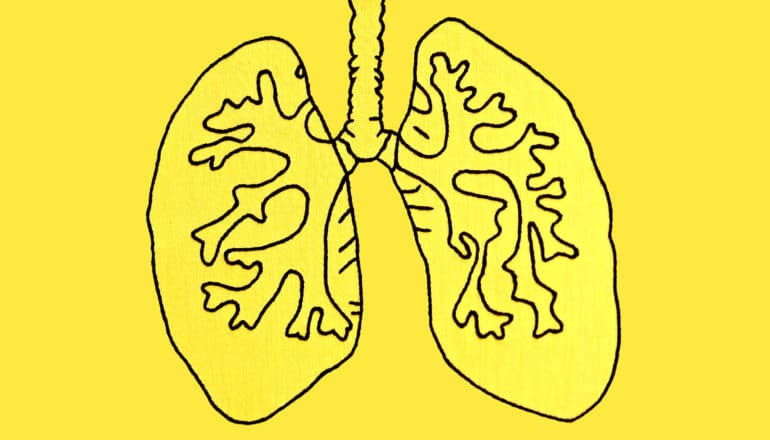 embroidered lungs on yellow