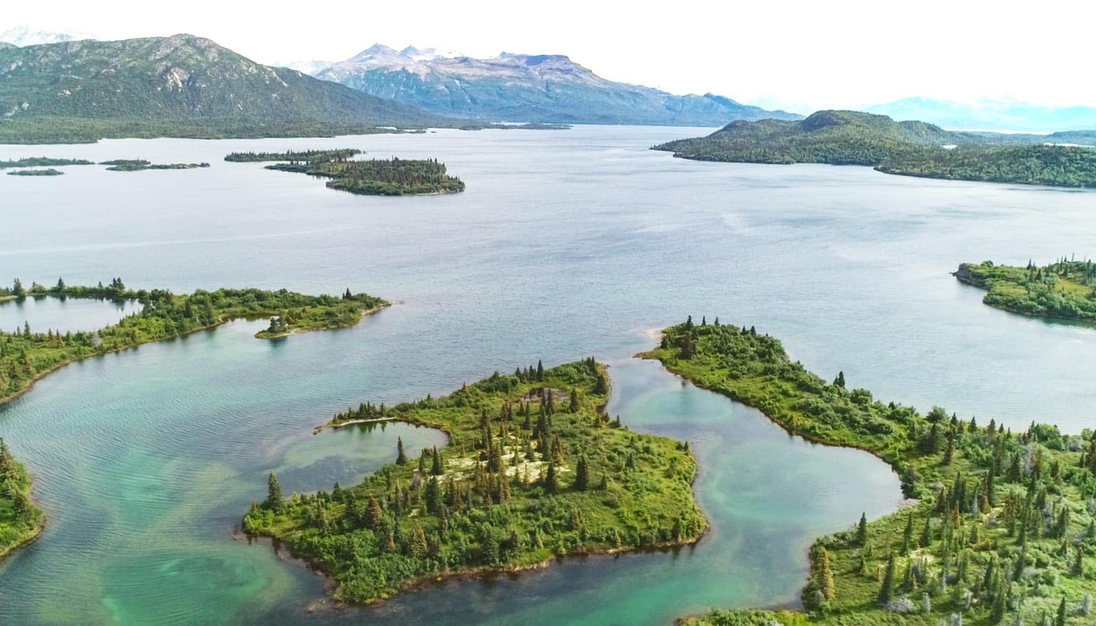 Iliamna lake from above