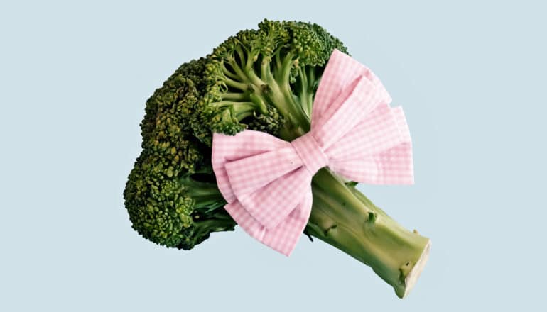 genetically modified crops - broccoli with pink bow
