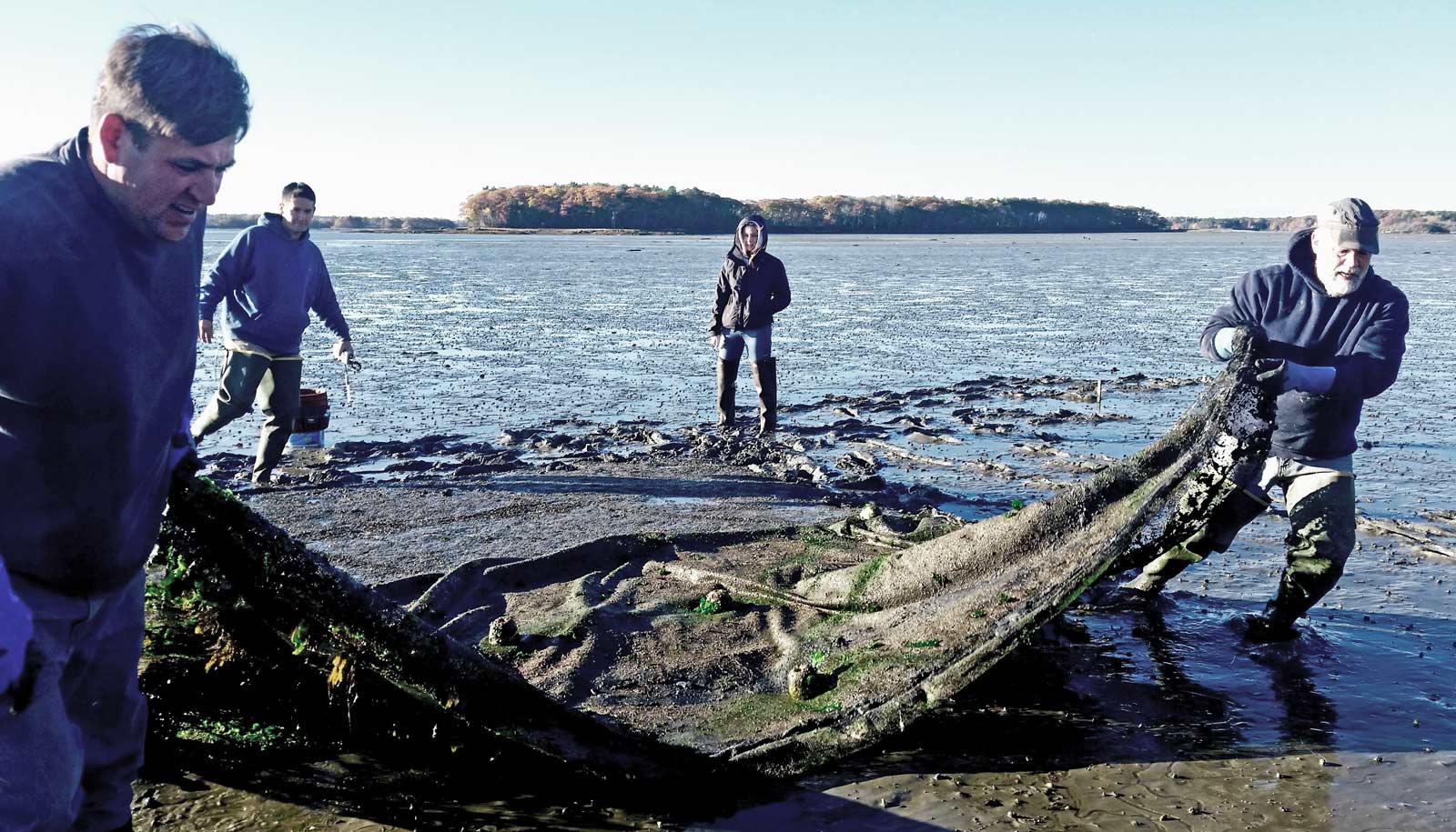 clammers haul net on beach