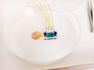 hydro-seq chip scale