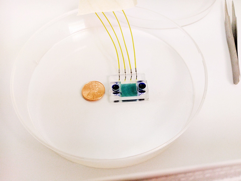 hydro-seq chip scale