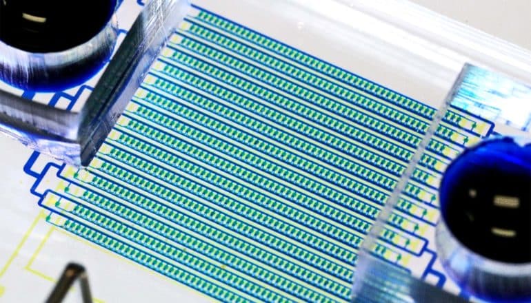 hydro-seq chip close-up