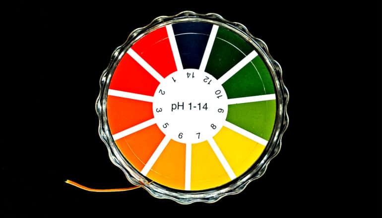 ph test paper