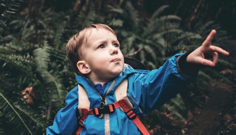 little boy pointing