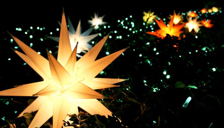 star lights in trees (hubble constant concept)
