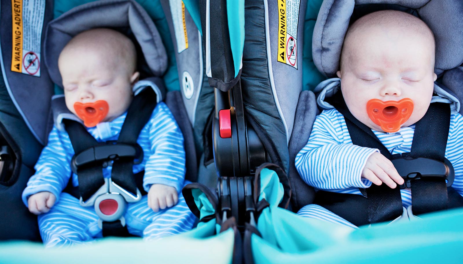 Multiple births are more common but face disadvantages ...