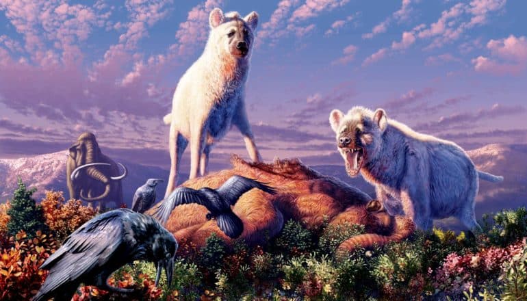artist's impression of Chasmaporthetes - hyenas and kill on tundra