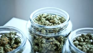 marijuana at a dispensary