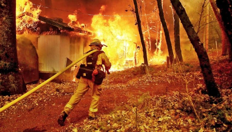 fire season - firefighter pulls hose toward burning house