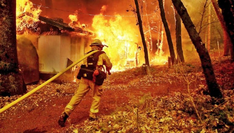 fire season - firefighter pulls hose toward burning house