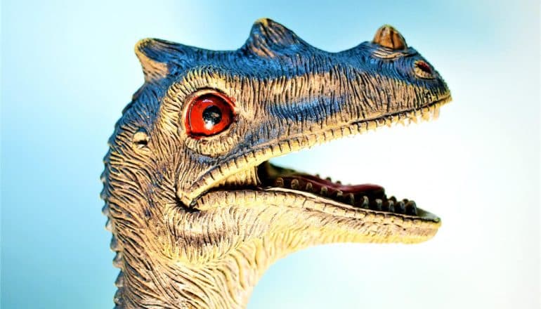 freaked out dinosaur (mammals concept)