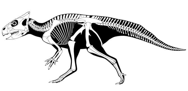 Auroraceratops